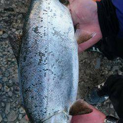 みどりフィッシングエリア 釣果