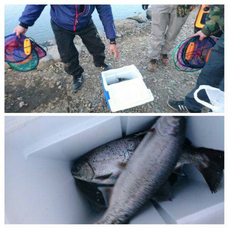 みどりフィッシングエリア 釣果