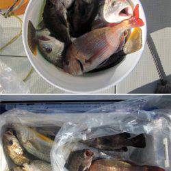 来温丸(らいおんまる) 釣果