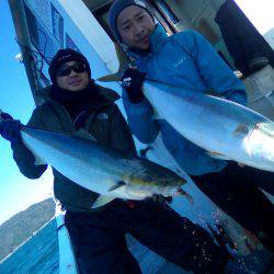 ファイヤードルフィン 釣果