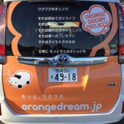 マタウマリンサービス 釣果