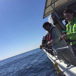 マタウマリンサービス 釣果