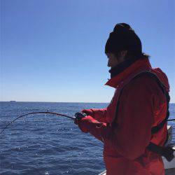 マタウマリンサービス 釣果