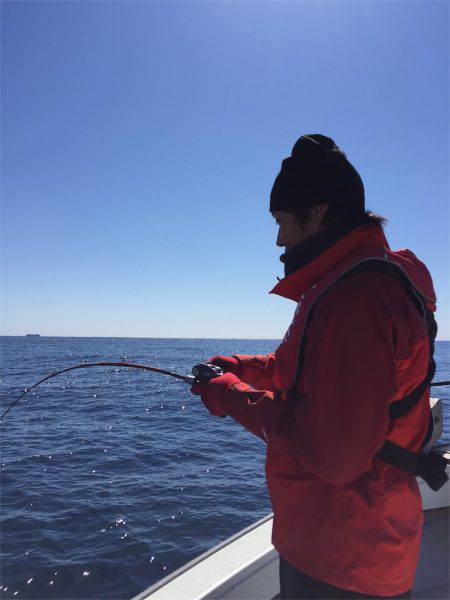 マタウマリンサービス 釣果