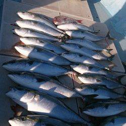 旭星釣りセンター 釣果