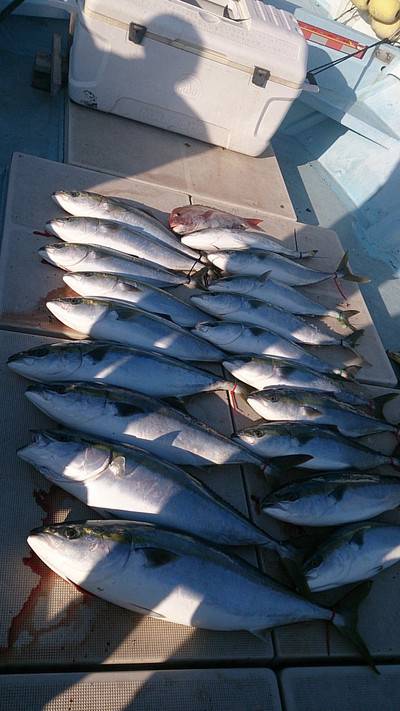 旭星釣りセンター 釣果