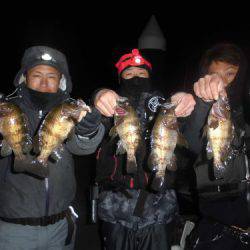 ルアー船マヒマヒ 釣果