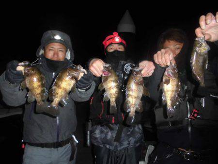 ルアー船マヒマヒ 釣果