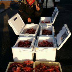 オーフリー 釣果