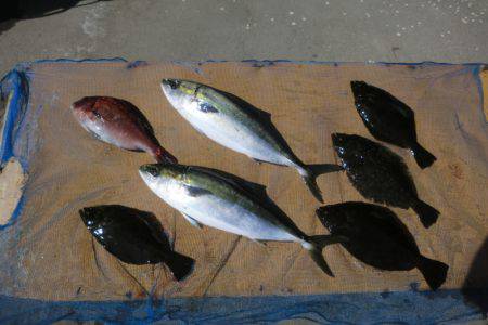 松名瀬フィッシングパーク 釣果