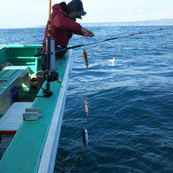 モンロー号 釣果