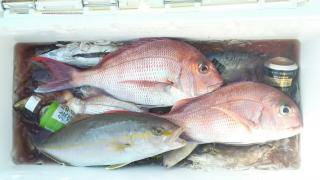 長栄丸(静岡) 釣果