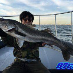 オーシャンマスター 釣果