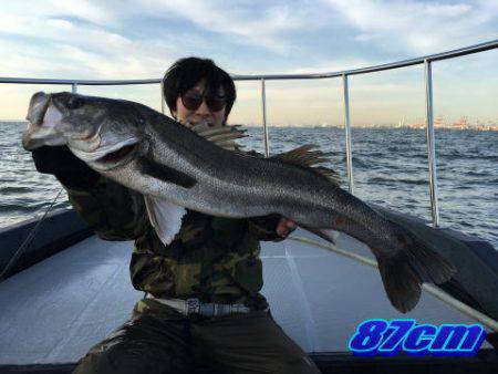 オーシャンマスター 釣果