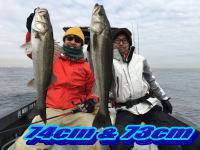 オーシャンマスター 釣果