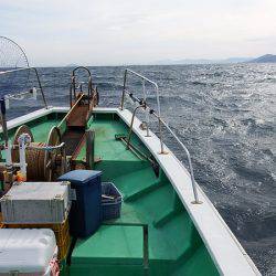 第三むつりょう丸 釣果