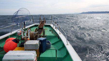 第三むつりょう丸 釣果