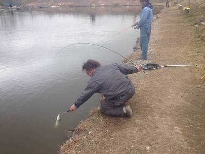 吉羽園 釣果