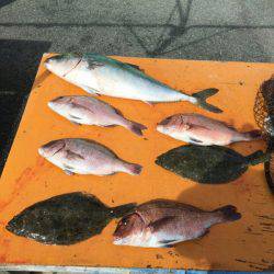 フィッシングパーク錦 釣果