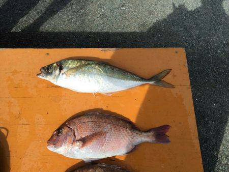 フィッシングパーク錦 釣果