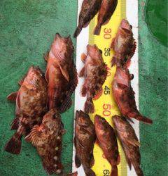 利弥丸（としやまる） 釣果