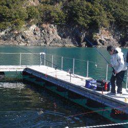 フィッシングパーク錦 釣果