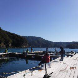 フィッシングパーク錦 釣果