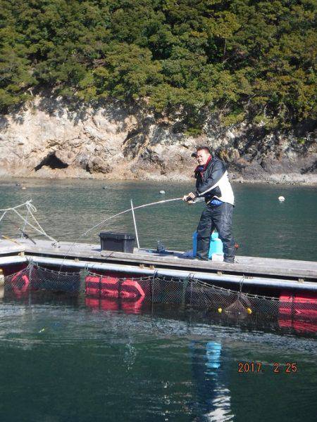 フィッシングパーク錦 釣果