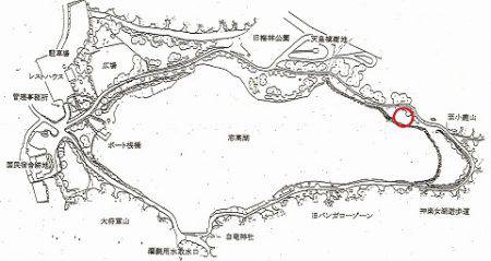 志高湖フィッシング 釣果