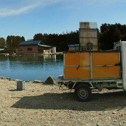 みどりフィッシングエリア 釣果