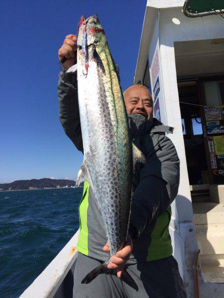 ファイヤードルフィン 釣果