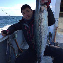 ファイヤードルフィン 釣果