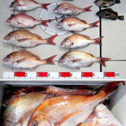 来温丸(らいおんまる) 釣果