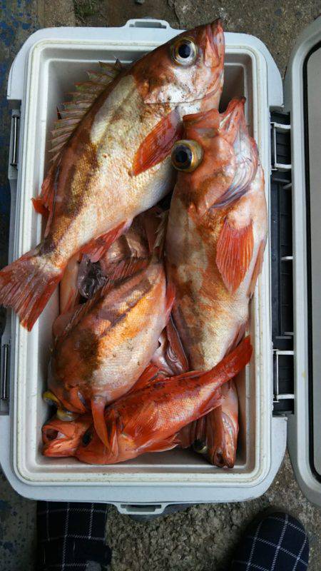 モンロー号 釣果