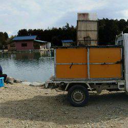 みどりフィッシングエリア 釣果