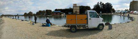 みどりフィッシングエリア 釣果