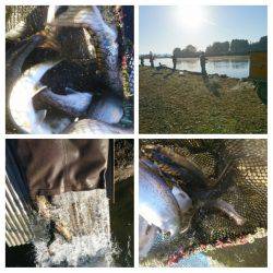 みどりフィッシングエリア 釣果