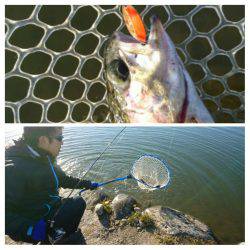 みどりフィッシングエリア 釣果