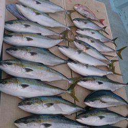 旭星釣りセンター 釣果