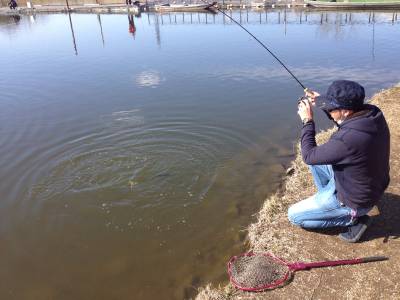 吉羽園 釣果
