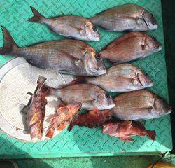 利弥丸（としやまる） 釣果