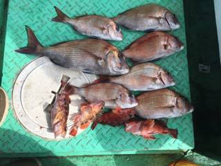 利弥丸（としやまる） 釣果