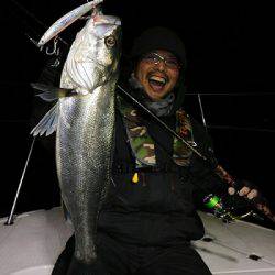 フルコンタクト 釣果