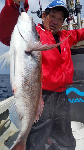 飛燕さくら丸 釣果
