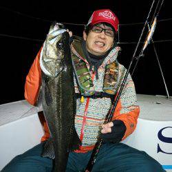 フルコンタクト 釣果