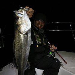 フルコンタクト 釣果