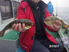 七福丸 釣果
