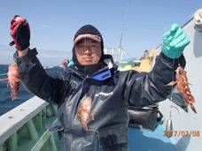 七福丸 釣果