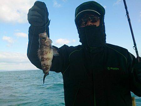 第二常豊丸 釣果