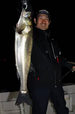 Marine T Design　マリンティ…